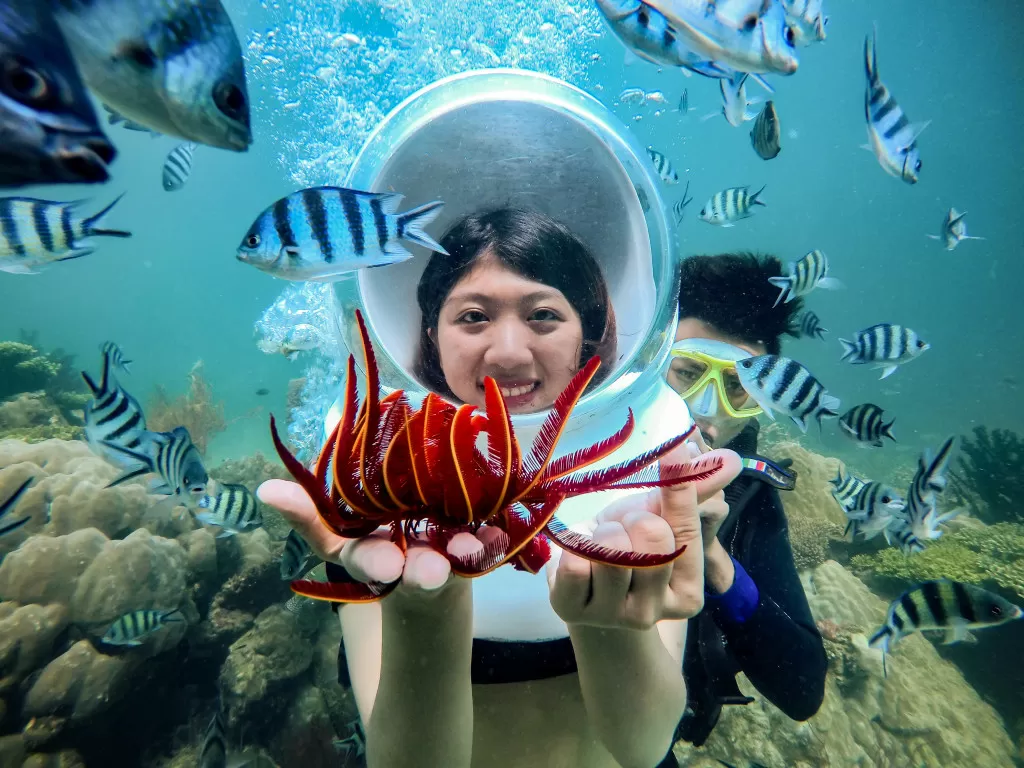 Từ Phú Yên đi Quy Nhơn lặn biển – Diving Quy Nhơn